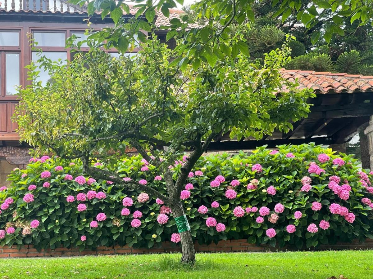 La Solana De Mogro Villa Dış mekan fotoğraf