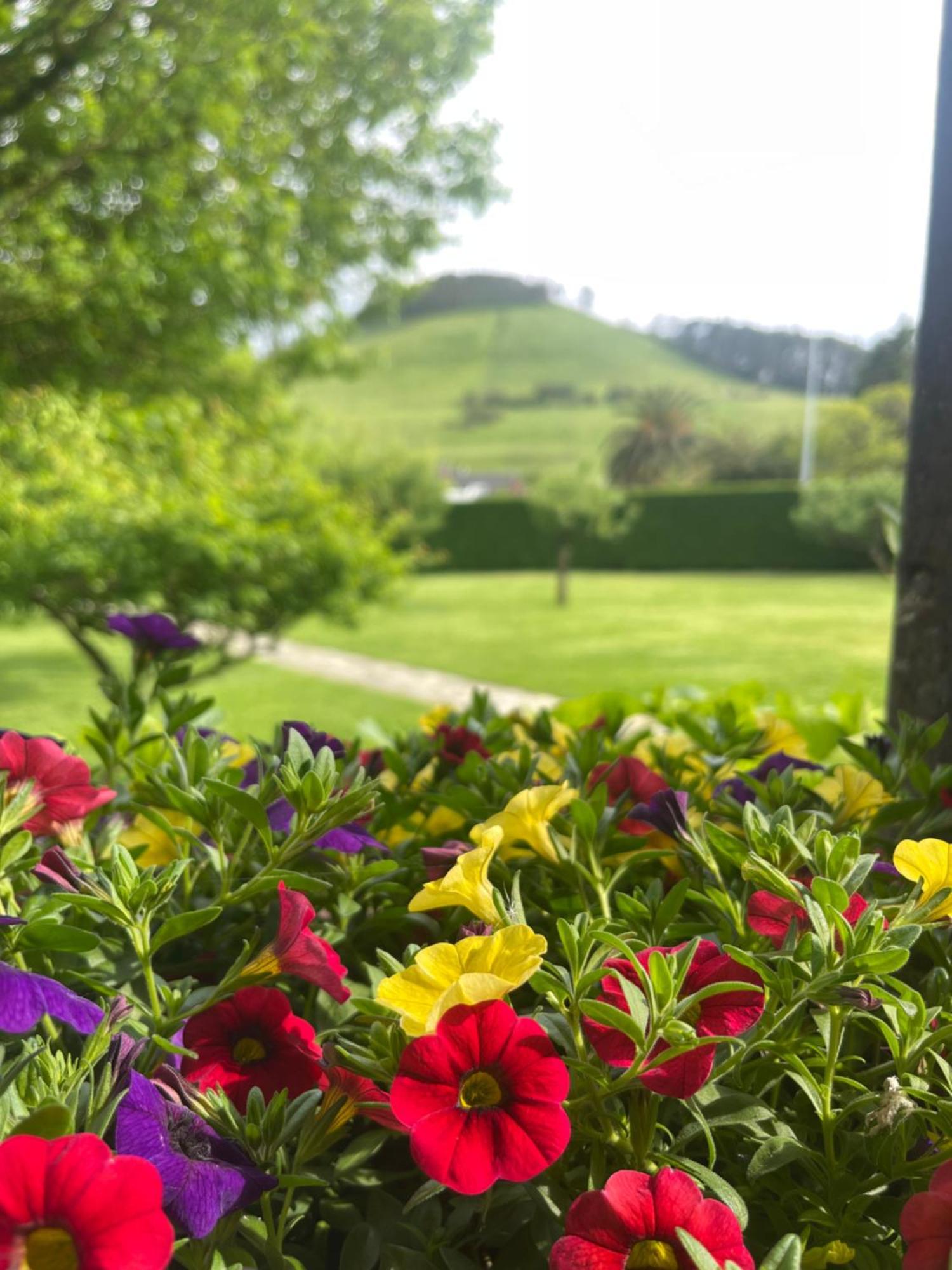 La Solana De Mogro Villa Dış mekan fotoğraf